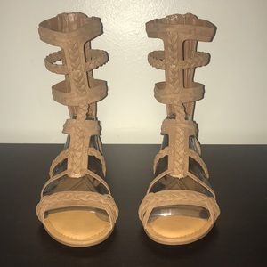 Brand new Glatiators